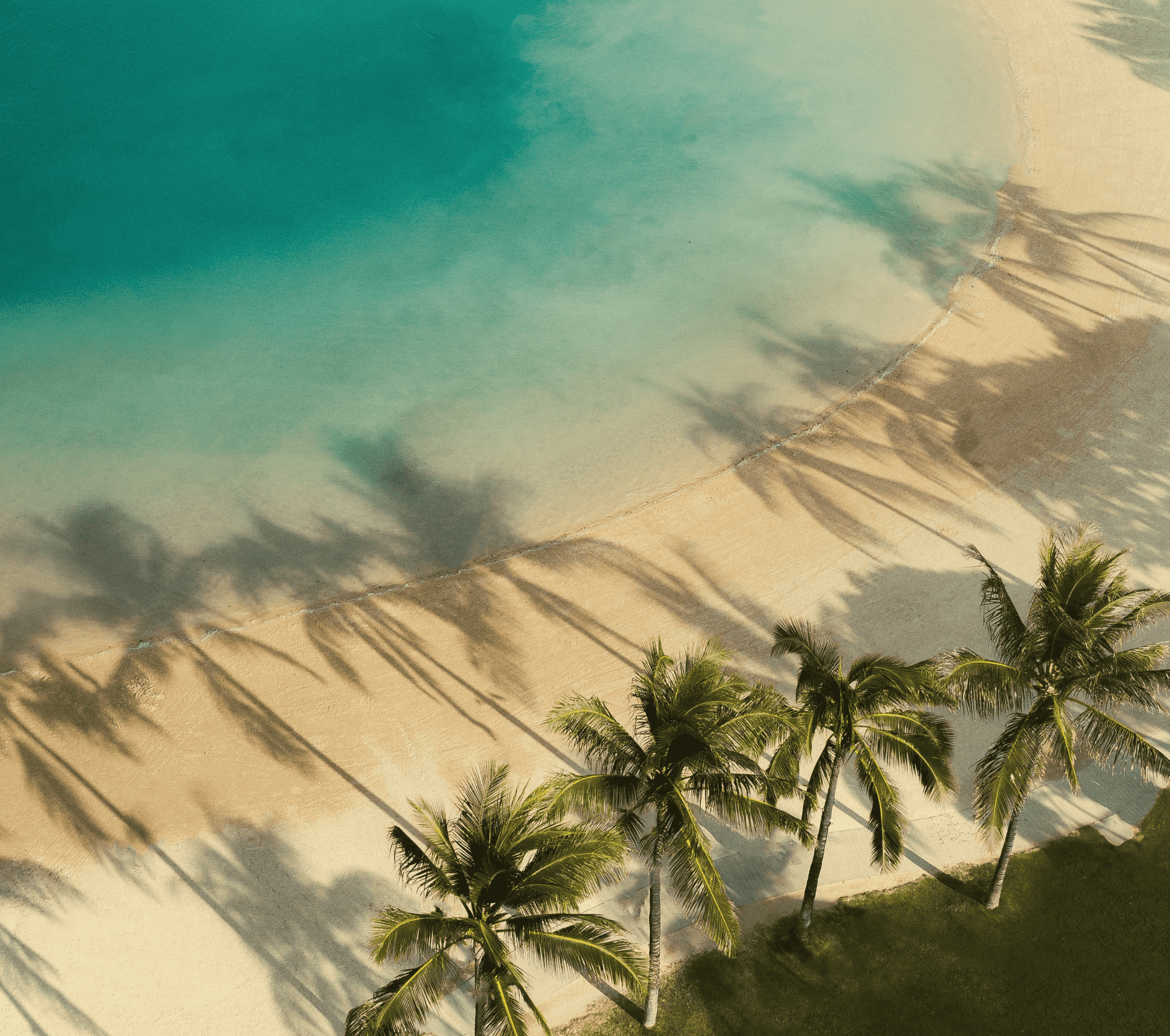 Unlock the World with Nestview